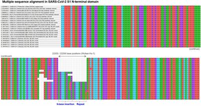 Variable number tandem repeats of a 9-base insertion in the N-terminal domain of severe acute respiratory syndrome coronavirus 2 spike gene